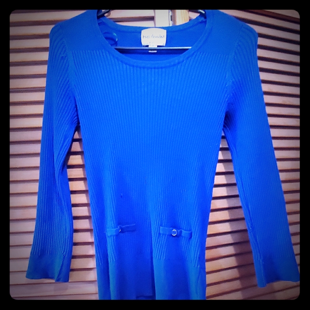 Blue Sweater